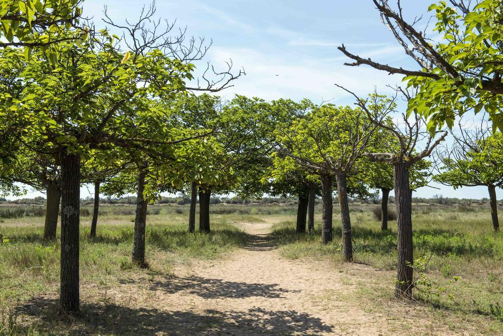 Domaine Les Muriers Vendres Exterior foto